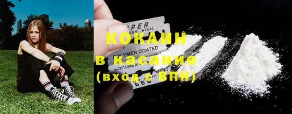 ГАЛЛЮЦИНОГЕННЫЕ ГРИБЫ Балабаново